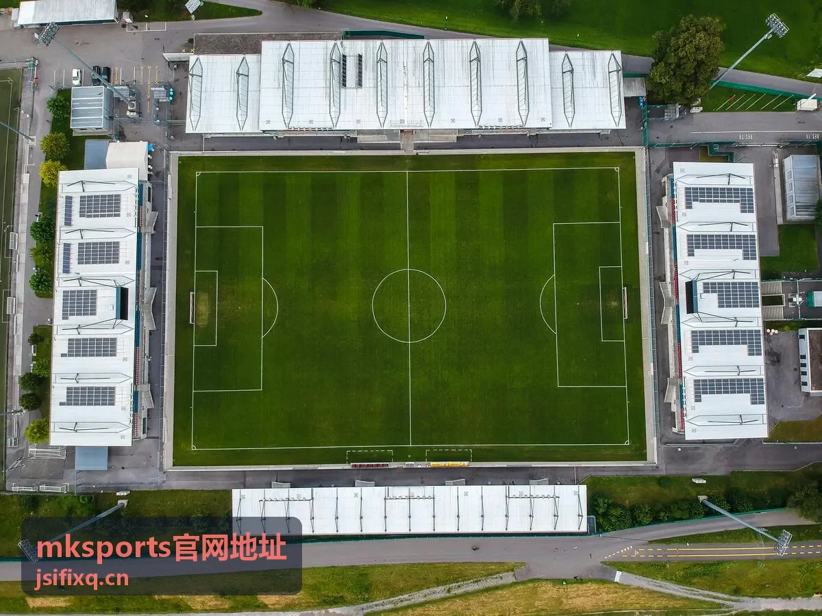mksports官网地址 观众席与场边互动区域